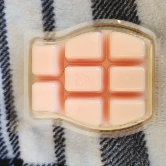 SCENTSY Pink Haze - Picture 2 of 3